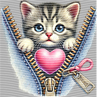 Valentine's Day-QRJ  2436